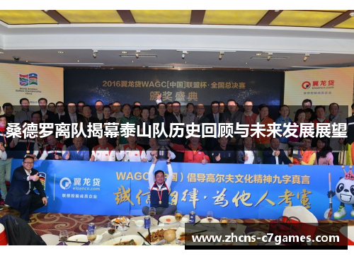 桑德罗离队揭幕泰山队历史回顾与未来发展展望