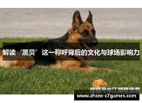 解读‘黑贝’这一称呼背后的文化与球场影响力